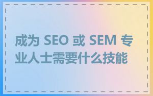 成为 SEO 或 SEM 专业人士需要什么技能