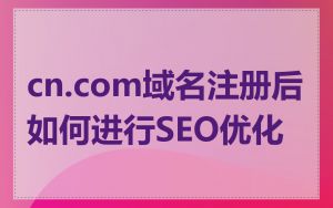cn.com域名注册后如何进行SEO优化