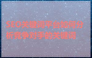 SEO关键词平台如何分析竞争对手的关键词