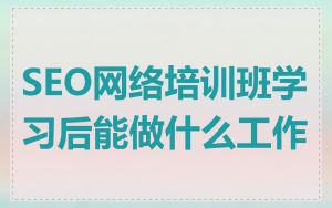 SEO网络培训班学习后能做什么工作