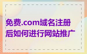 免费.com域名注册后如何进行网站推广