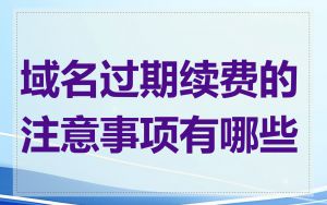 域名过期续费的注意事项有哪些