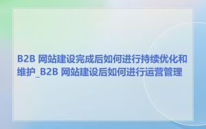B2B 网站建设完成后如何进行持续优化和维护_B2B 网站建设后如何进行运营管理