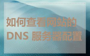 如何查看网站的 DNS 服务器配置