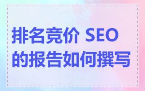排名竞价 SEO 的报告如何撰写