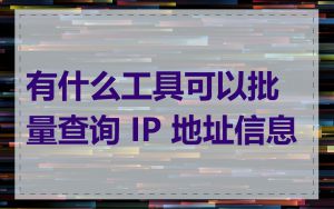 有什么工具可以批量查询 IP 地址信息