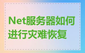 Net服务器如何进行灾难恢复