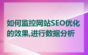 如何监控网站SEO优化的效果,进行数据分析
