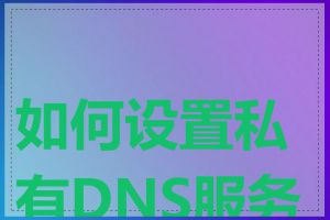 如何设置私有DNS服务器