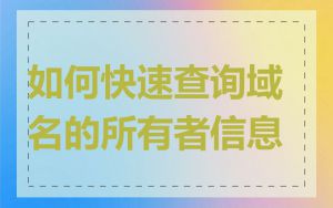 如何快速查询域名的所有者信息