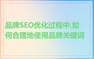 品牌SEO优化过程中,如何合理地使用品牌关键词