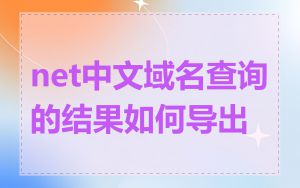 net中文域名查询的结果如何导出