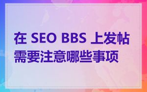 在 SEO BBS 上发帖需要注意哪些事项