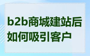 b2b商城建站后如何吸引客户