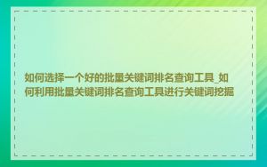 如何选择一个好的批量关键词排名查询工具_如何利用批量关键词排名查询工具进行关键词挖掘