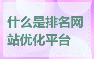 什么是排名网站优化平台
