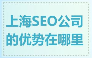 上海SEO公司的优势在哪里