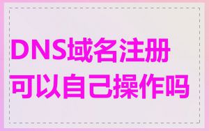 DNS域名注册可以自己操作吗