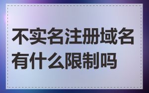 不实名注册域名有什么限制吗