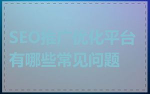 SEO推广优化平台有哪些常见问题