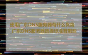 使用广东DNS服务器有什么优势_广东DNS服务器选择标准有哪些