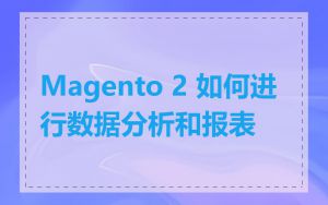Magento 2 如何进行数据分析和报表