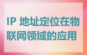 IP 地址定位在物联网领域的应用