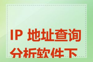 IP 地址查询分析软件下载