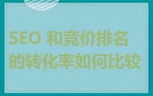 SEO 和竞价排名的转化率如何比较