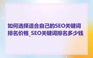 如何选择适合自己的SEO关键词排名价格_SEO关键词排名多少钱
