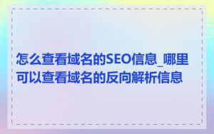 怎么查看域名的SEO信息_哪里可以查看域名的反向解析信息