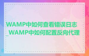 WAMP中如何查看错误日志_WAMP中如何配置反向代理