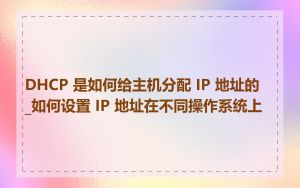 DHCP 是如何给主机分配 IP 地址的_如何设置 IP 地址在不同操作系统上
