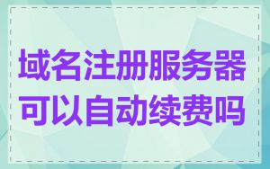 域名注册服务器可以自动续费吗