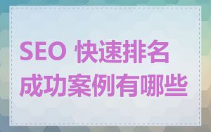 SEO 快速排名成功案例有哪些