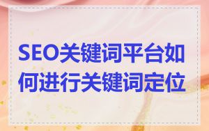 SEO关键词平台如何进行关键词定位