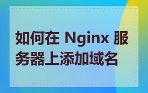 如何在 Nginx 服务器上添加域名