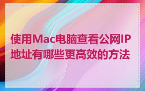 使用Mac电脑查看公网IP地址有哪些更高效的方法
