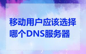 移动用户应该选择哪个DNS服务器
