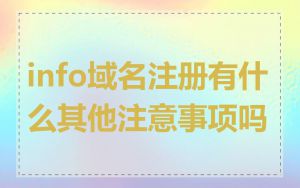 info域名注册有什么其他注意事项吗