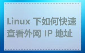 Linux 下如何快速查看外网 IP 地址