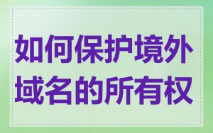 如何保护境外域名的所有权