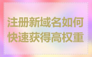 注册新域名如何快速获得高权重