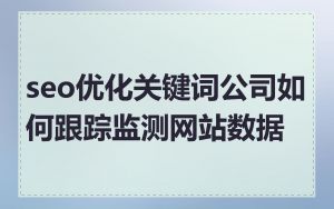 seo优化关键词公司如何跟踪监测网站数据