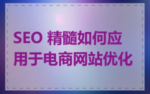 SEO 精髓如何应用于电商网站优化