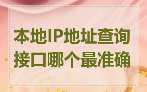 本地IP地址查询接口哪个最准确