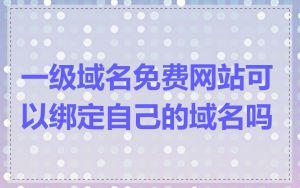一级域名免费网站可以绑定自己的域名吗