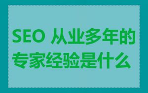 SEO 从业多年的专家经验是什么