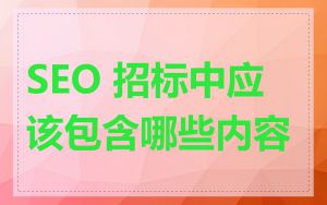 SEO 招标中应该包含哪些内容