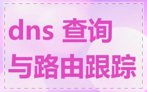 dns 查询与路由跟踪